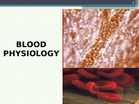 Blood Physiology.pdf